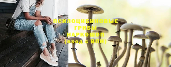 меф Кодинск