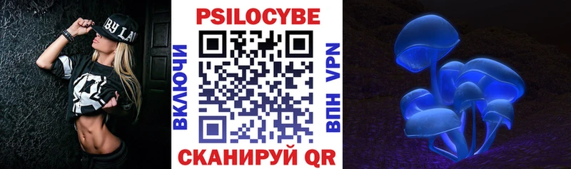 Псилоцибиновые грибы Psilocybe  Биробиджан 