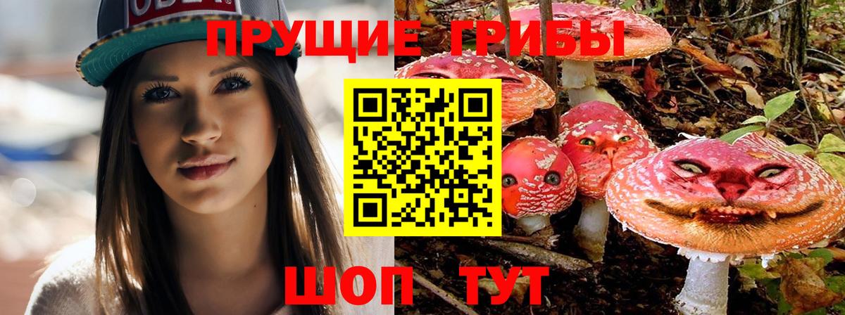 что такое   Псилоцибиновые грибы Psilocybe  Вход с VPN  Биробиджан 